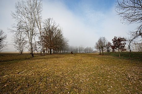 Monferrato Truffle Grounds