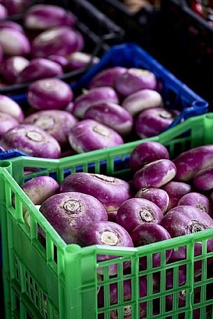 red turnips - Canale Market