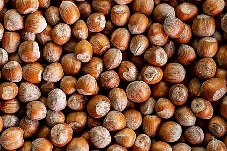 Hazelnuts - Canale Market