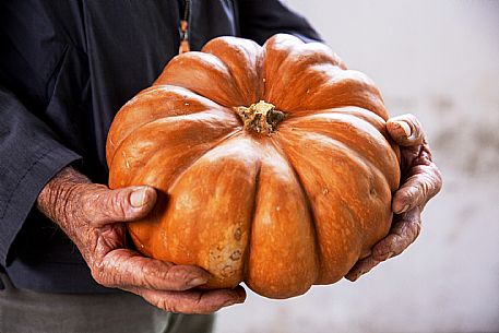 Wand with pumpkin - Canale Market