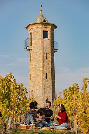 Picnic - Contini Tower