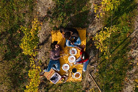 Picnic - Contini Tower