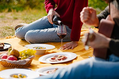 Picnic - Contini Tower