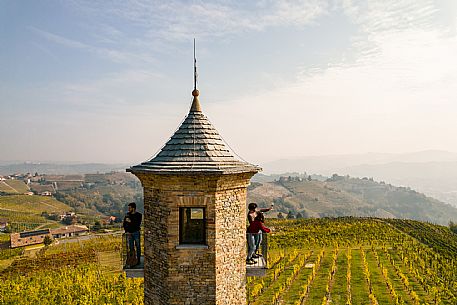 Picnic - Contini Tower