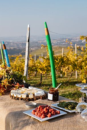 Picnic - Contini Tower