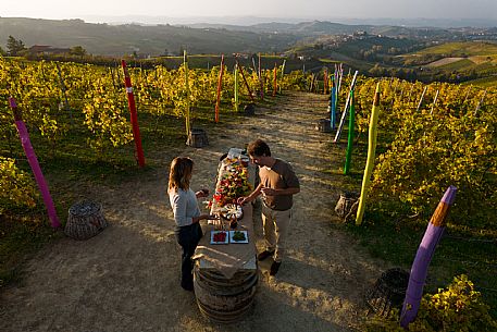 Picnic - Contini Tower