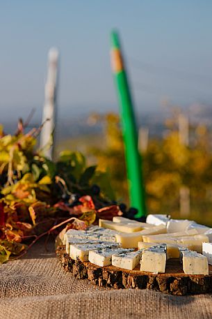 Picnic - Contini Tower