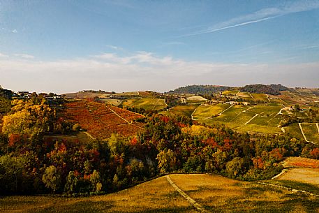 Aerial view - Monferrato - Landscape