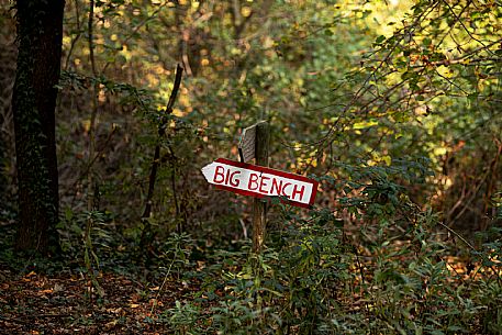  Big Bench - San Martino Alfieri