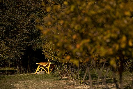 Big Bench - San Martino Alfieri