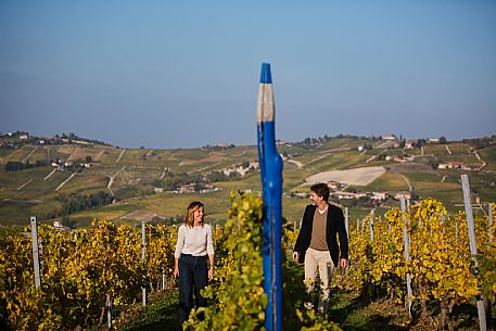 Pastel vineyard - Coazzolo