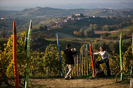 Pastel vineyard - Coazzolo