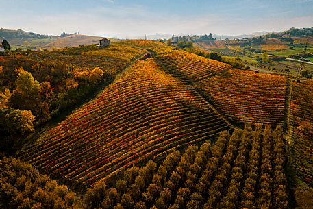 Landscape - Agliano Terme
