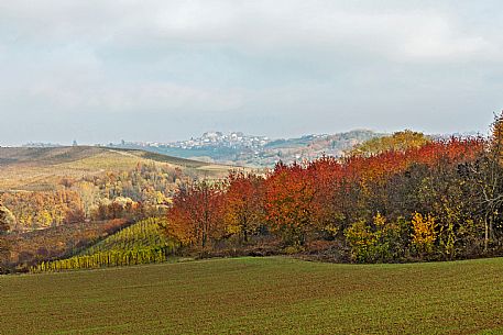 Landscape - Montemagno 