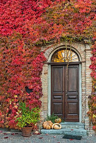 Door and red leaves -  Neive