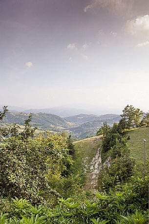 Alta Langa Landscape