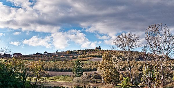 Roero Landscape 