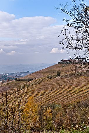 Langhe Landscape