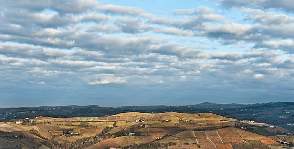 Langhe Landscape