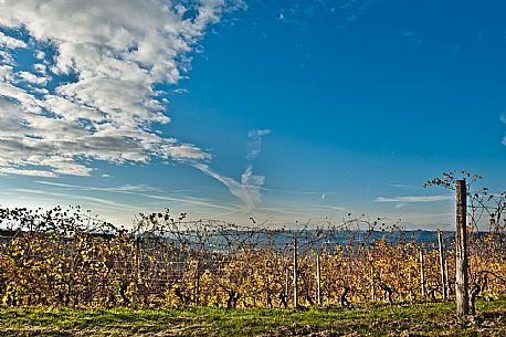 Langhe Landscape