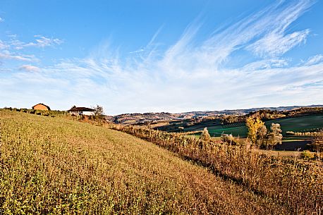 Langhe Landscape