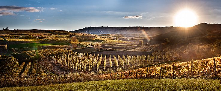 Langhe Landscape