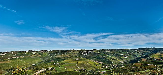 Langhe Landscape