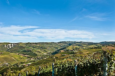 Langhe Landscape