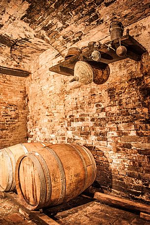 Wine Cellar - Langa del Barbaresco

