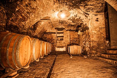 Wine Cellar - Langa del Barbaresco

