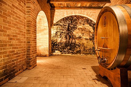 Wine Cellar - Langa del Barbaresco

