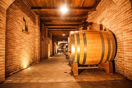 Wine Cellar - Langa del Barbaresco

