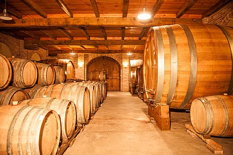 Wine Cellar - Langa del Barbaresco

