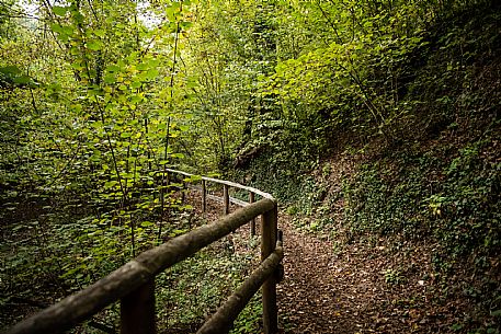 Valle Andona, Valle Botto and Val Grande Nature Reserve
