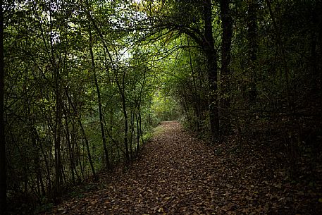 Valle Andona, Valle Botto and Val Grande Nature Reserve
