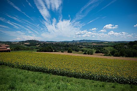 Panorama - Montiglio e Cocconato