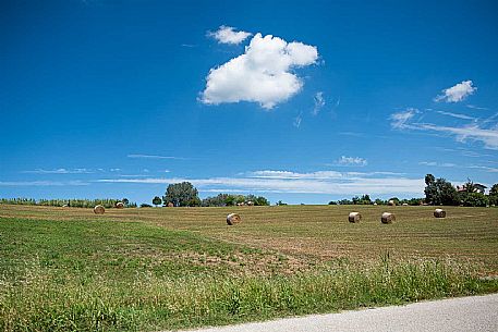 Panorama - Montiglio e Cocconato