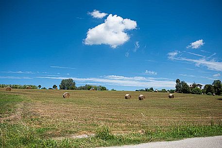 Panorama - Montiglio e Cocconato