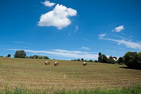 Panorama - Montiglio e Cocconato