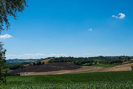 Panorama - Montiglio e Cocconato