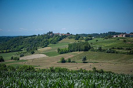 Panorama - Montiglio e Cocconato