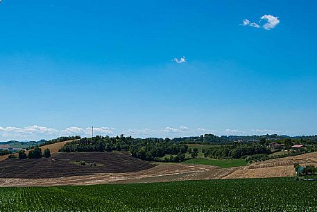 Panorama - Montiglio e Cocconato